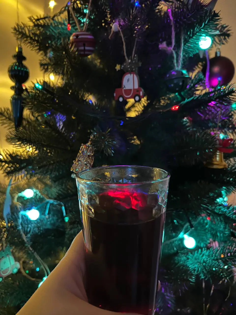 Дарина Василик